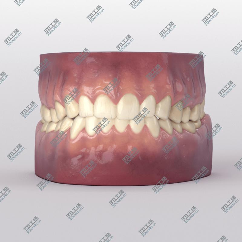 images/goods_img/202104092/Teeth With Roots And Gums 3D model/3.jpg